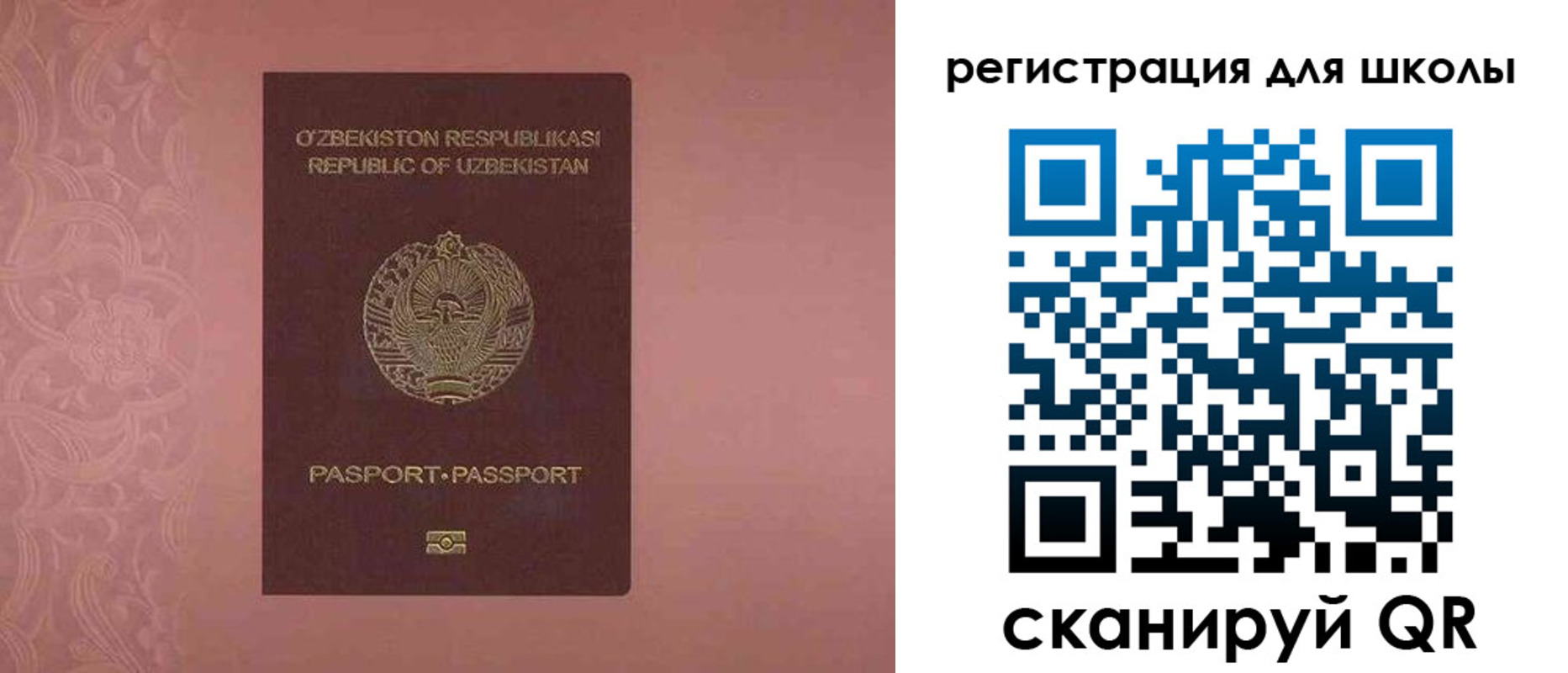 прописка для школы в Знаменске